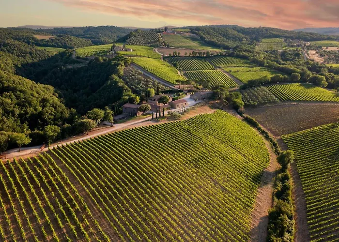 Tenuta San Filippo Montalcino