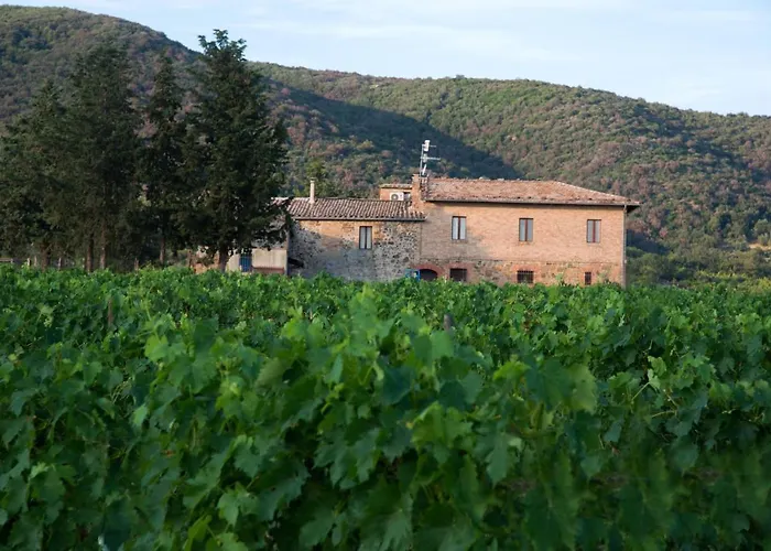 Villa Luce di Vino Montalcino